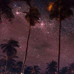 Meet your Posher, Devin